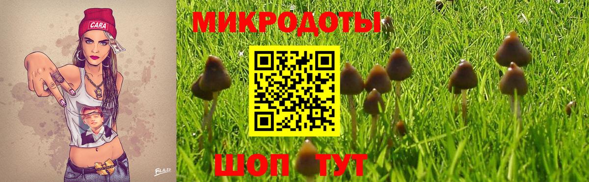 Псилоцибиновые грибы Psilocybine cubensis Домодедово