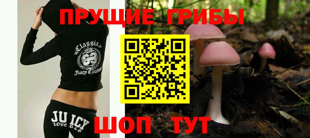 Домодедово  Галлюциногенные грибы Psilocybine cubensis  Вход с VPN 